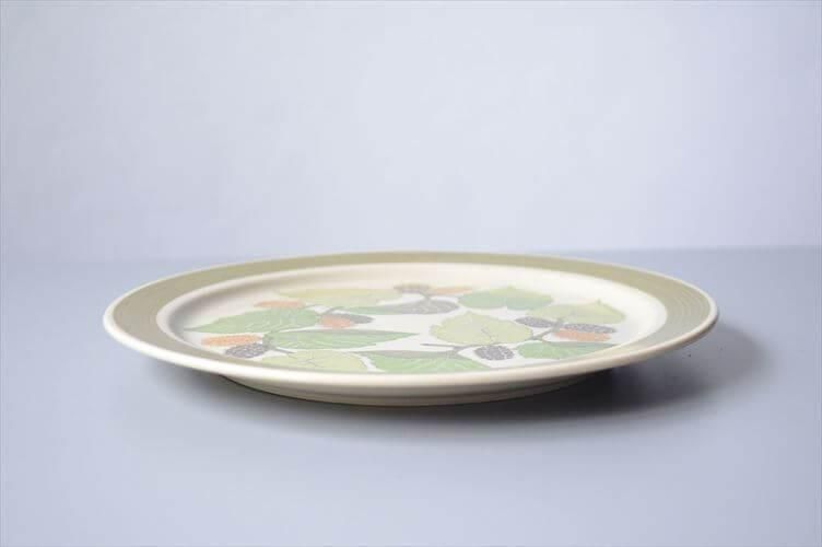 ローゼンタール テラガルダ プレート 20.5cm ドイツ製