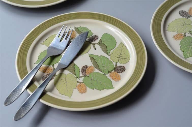 ローゼンタール テラガルダ プレート 20.5cm ドイツ製