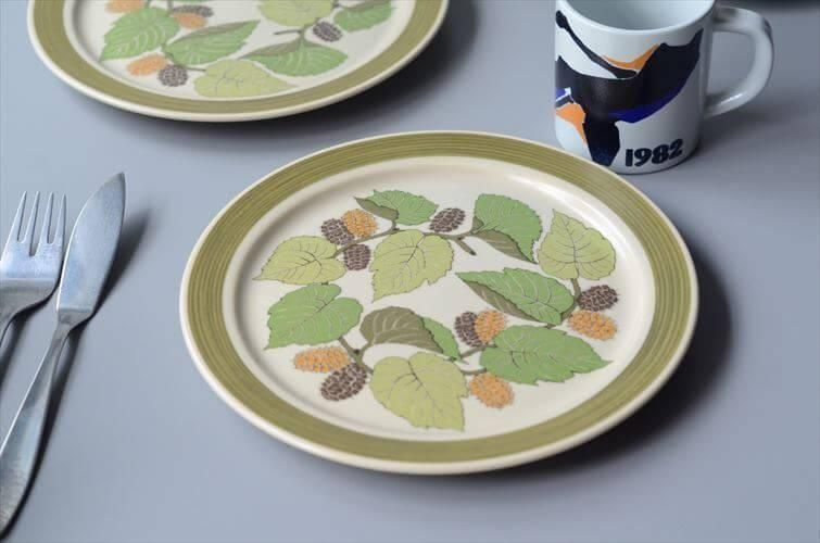 ローゼンタール テラガルダ プレート 20.5cm ドイツ製