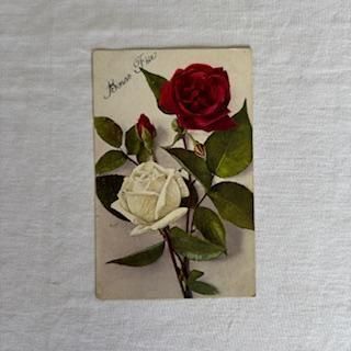アンティークポストカード 花 彩色 1920年代