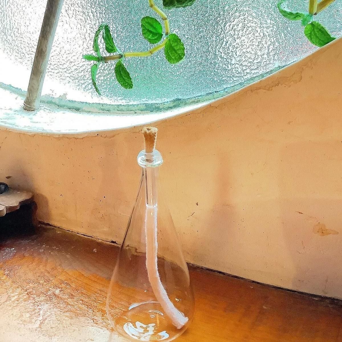 香合 GY - ANTIQUE LEAVES