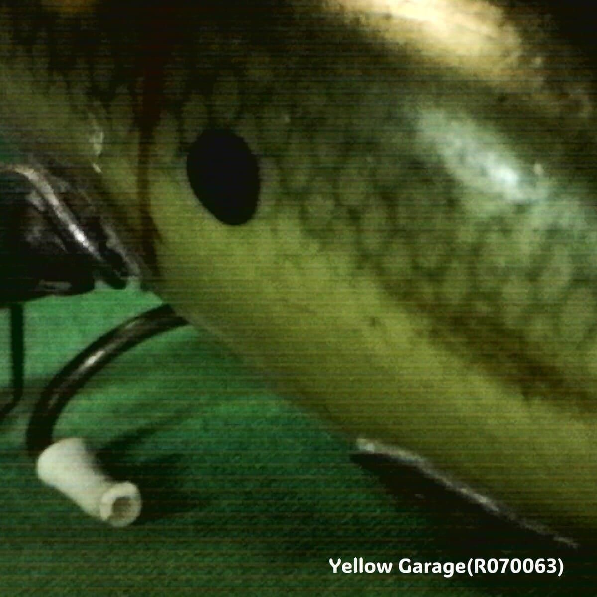  ơ TRUE TEMPER SHAD եå󥰥륢