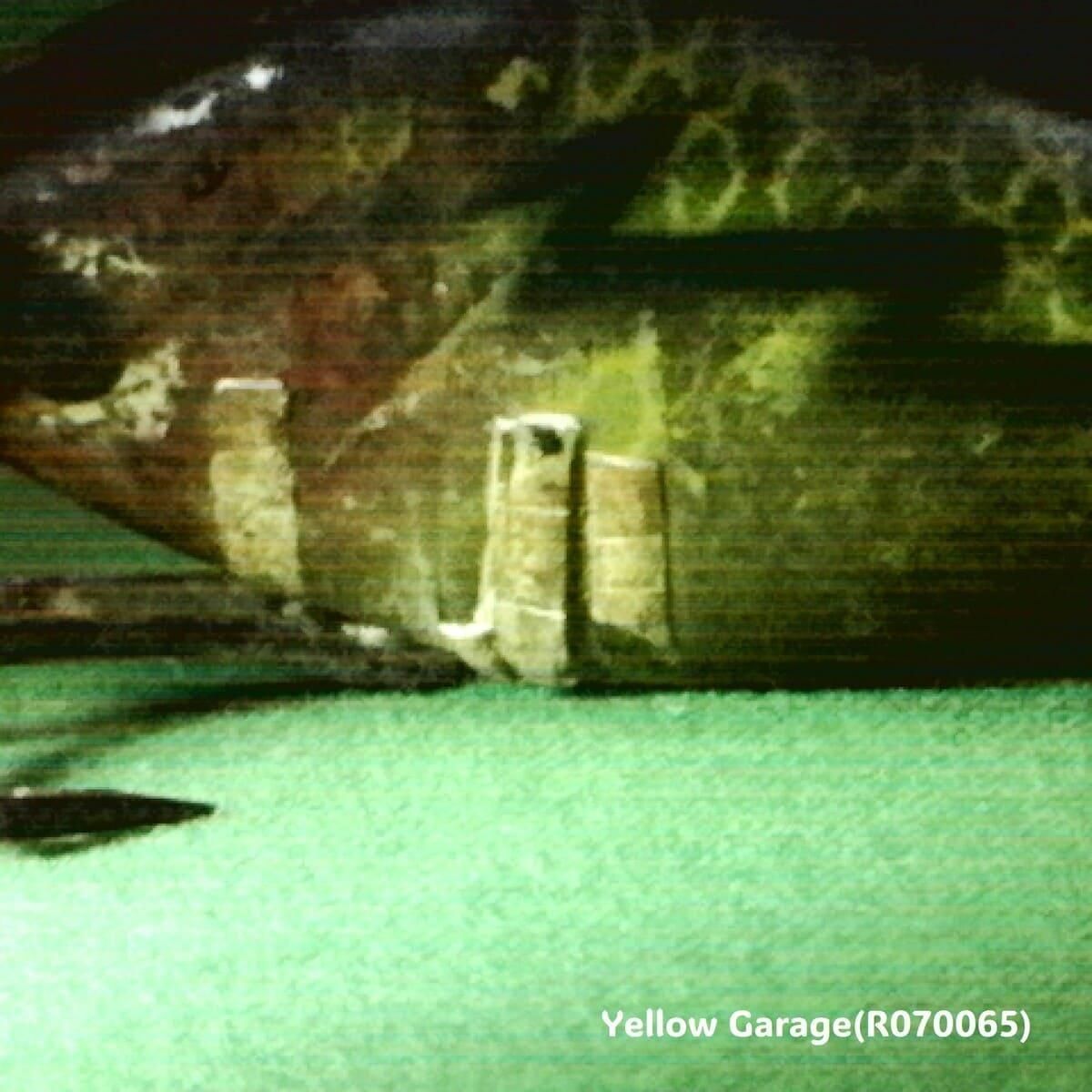  ƥ Heddon Sonic 륢ʥӥơ եå󥰡