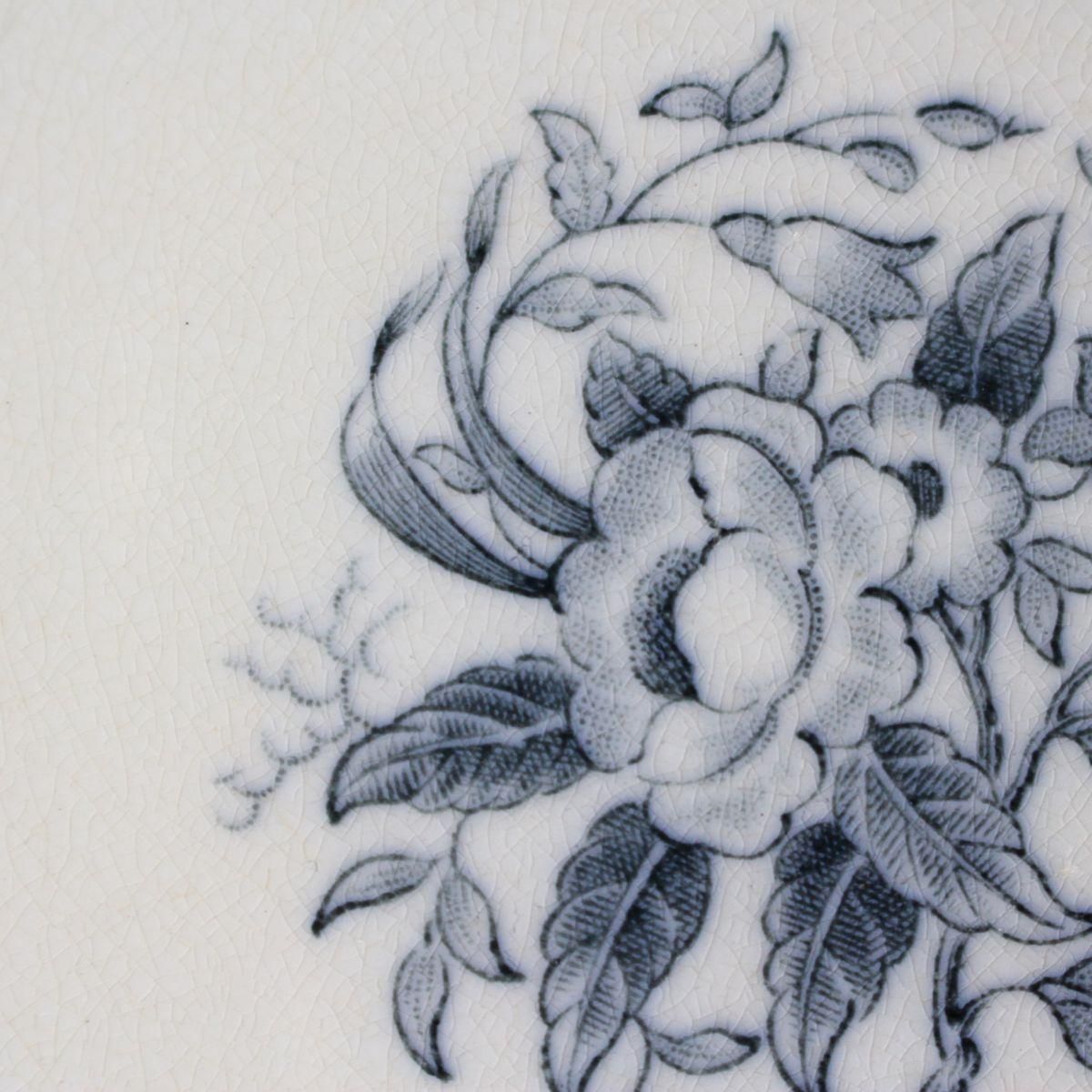 フランスアンティーク☆サルグミーヌ ディナープレート 3枚セット