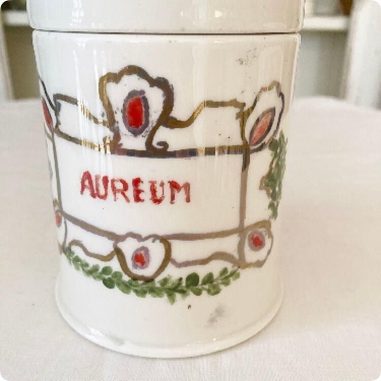  ڥեľ͢۶̤䥰꡼οʪ줿AUREMץƥ ӡʥ˥