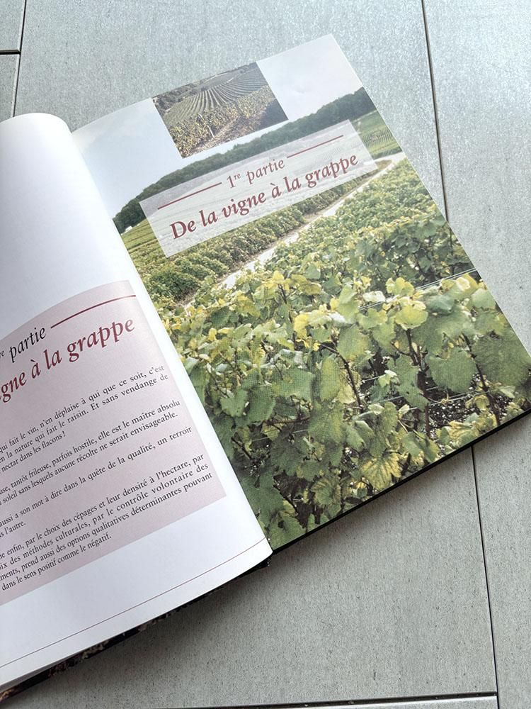 ե󥹸ܡ磻ܡܡ1997ǯǡե󥹥磻12pseh17-2