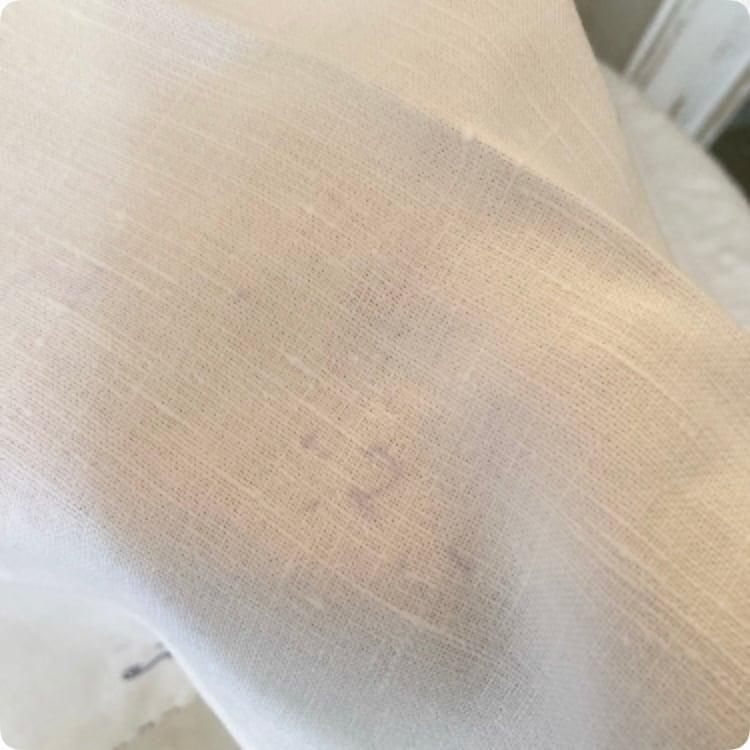  [եľ͢] ե󥹤μŻ 䤫ʥ֥롼ȥۥ磻ȤŨ ơ ơ֥ʥץ