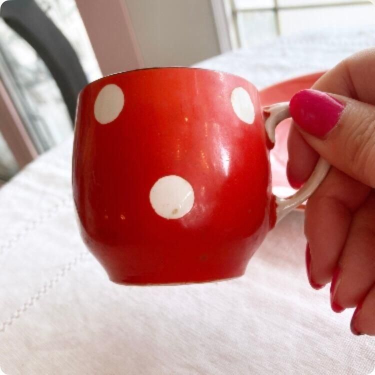 フランス直輸入】レトロな赤の水玉模様が可愛らしい ディゴワン