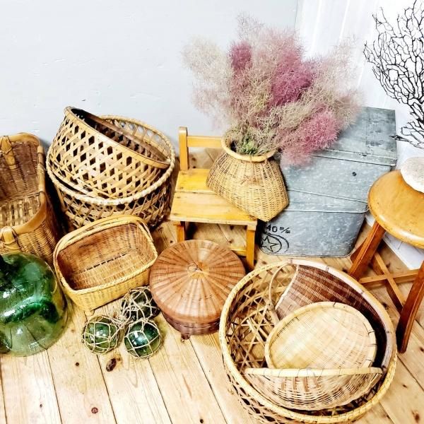 アンティークコスモ｜ANTIQUE LEAVES