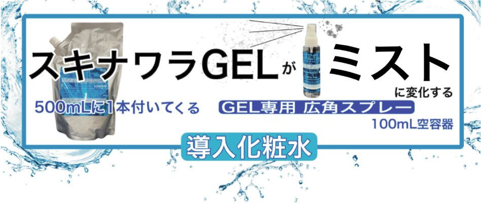 ʥGELIMG8876