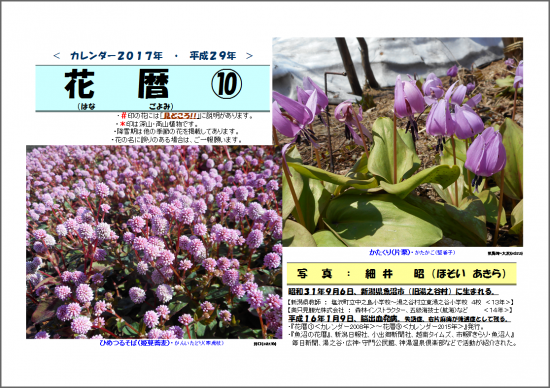 花暦17年カレンダー 花暦 花暦17年カレンダー 花暦