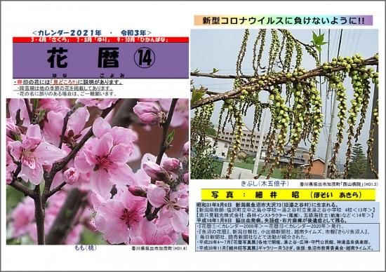 花暦21年カレンダー 花暦