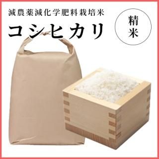 㸩̺ơҥBL 5kg