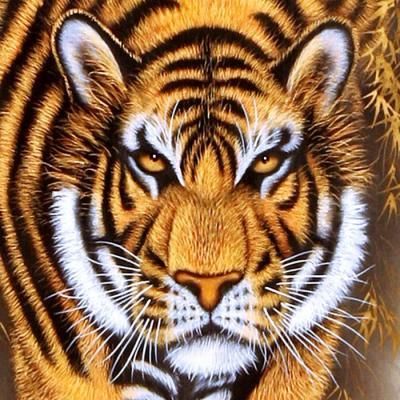 送料無料　匿名　昭和レトロ　掛軸　月虎　布生地　箱付き 猛虎」高松石華 尺五立(幅54,5㎝x丈190㎝)軸先：陶器 桐箱収納【送料