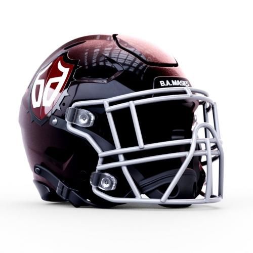 アメフト ヘルメット Riddell すくっ リデル Flex フレックス