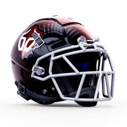 SCHUTT ܥ F7 VTD CUSTOM HAWK