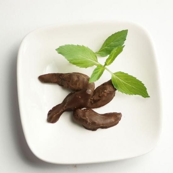 バッタチョコレート 10g 昆虫食のtakeo 通販 実店舗 製造 養殖 研究 バッタチョコレート 10g 昆虫食のtakeo 通販 実店舗 製造 養殖 研究