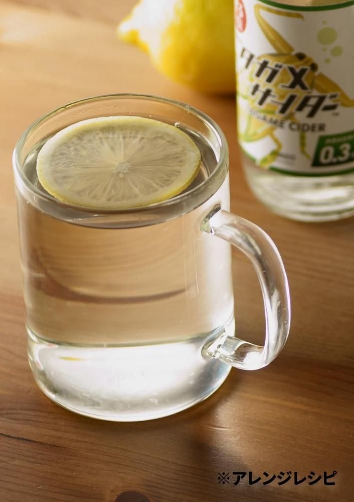 サイダーページ！！ タガメサイダー | 新感覚の昆虫ドリンク - 昆虫食のTAKEO｜通販、実