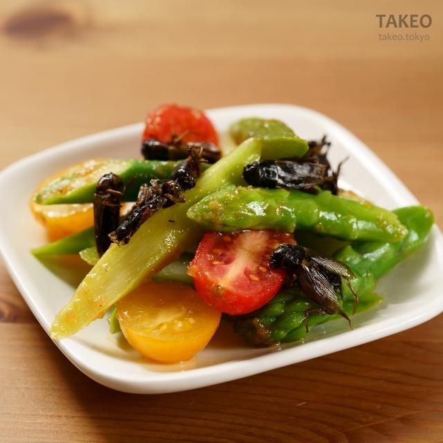 福島 ソース味 二本松こおろぎ 昆虫食のtakeo 通販 実店舗 製造 養殖 研究