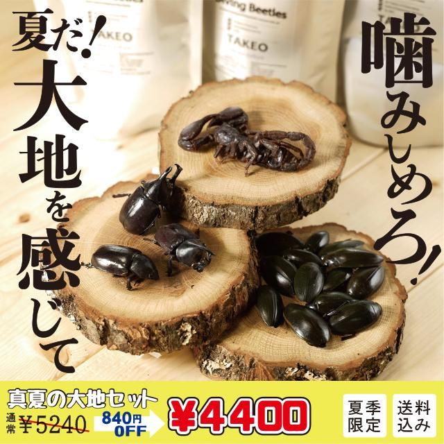 ڲƤڤ⤦Ϥߤ륻åȡ̵Ƶա佪λʡ