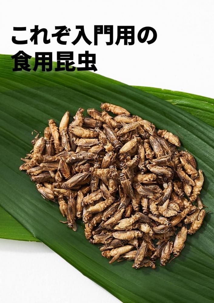 衼åѥAcheta domesticus15g