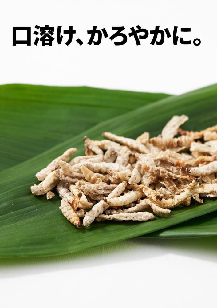 バンブーワーム 10g 昆虫食のtakeo 通販 実店舗 製造 養殖 研究 バンブーワーム 10g 昆虫食のtakeo 通販 実店舗 製造 養殖 研究
