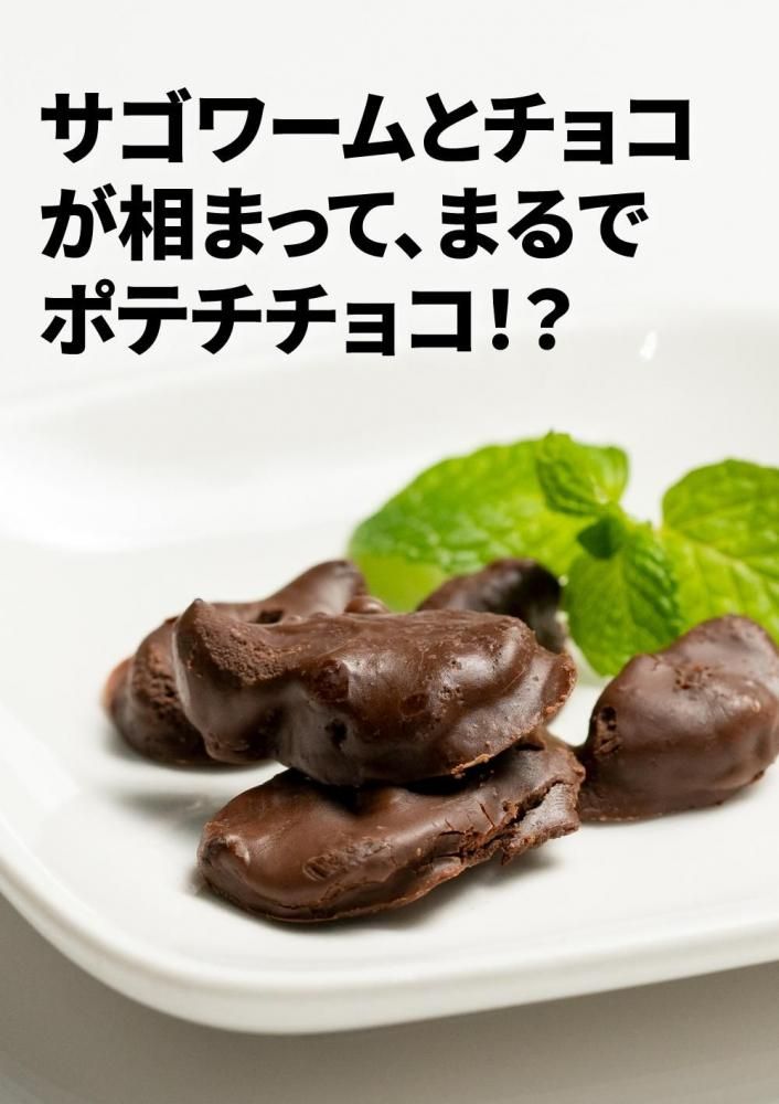 サゴワームチョコレート 10g