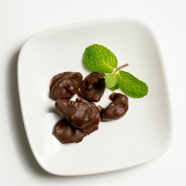 サゴワームチョコレート 10g