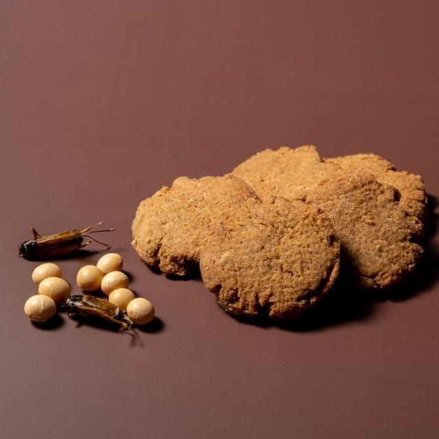 昆虫食専門店がつくった 大豆とコオロギのクッキー【プレミアムリッチ】（販売終了商品）