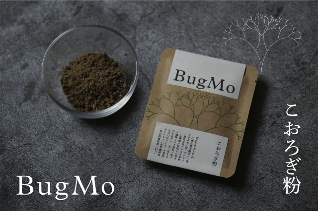 BugMo ʴ佪λʡ 