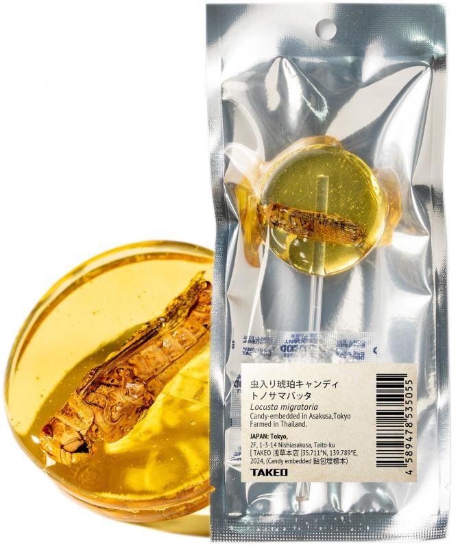 ᥭǥ ȥΥޥХåΥ饷åǥ