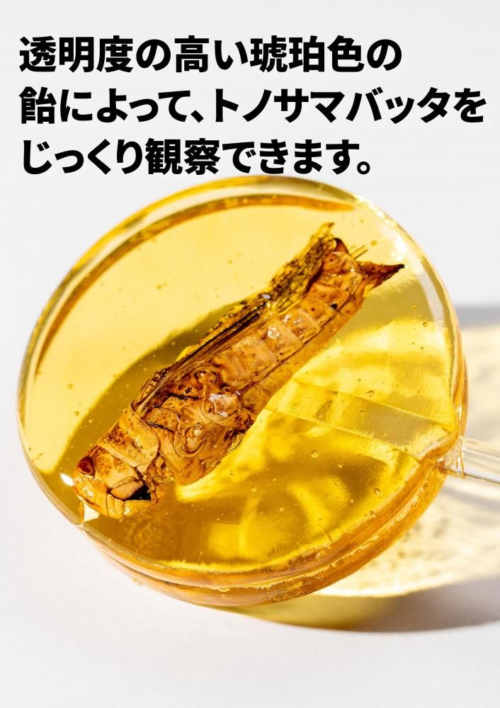 ᥭǥ ȥΥޥХåΥ饷åǥ
