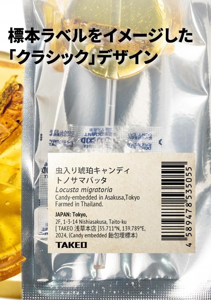 ᥭǥ ȥΥޥХåΥ饷åǥ