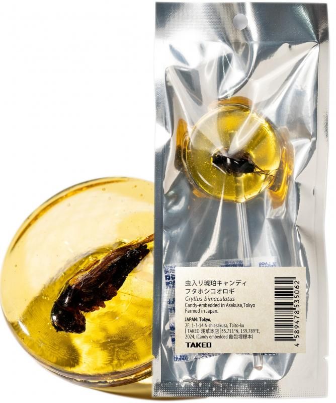 ᥭǥ եۥΥ饷åǥ
