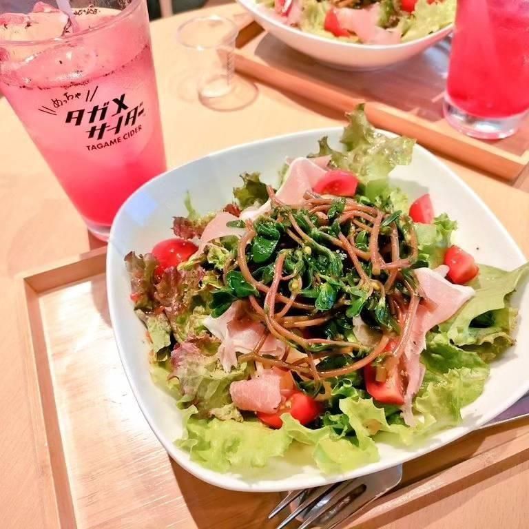 ڥ٥ȿ֥ۡҥμ¸ with ޥˡ2025