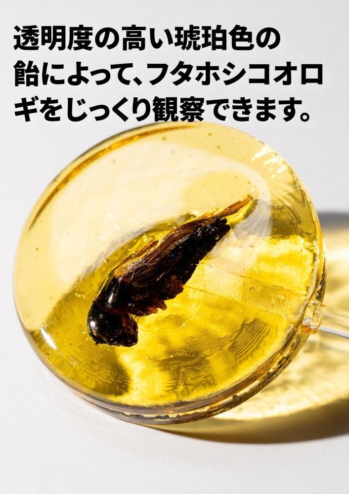 ᥭǥ եۥΥݥåץɥ٥㡼ǥ