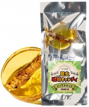 銅製　蝗　バッタ ワタリバッタ - Wikipedia