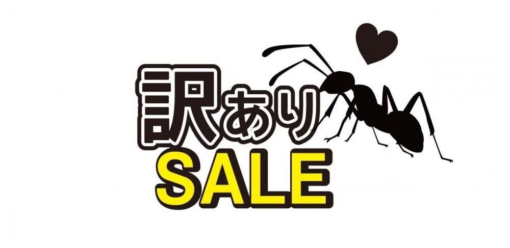 ꡪ50%OFFեѡ祳졼 10g