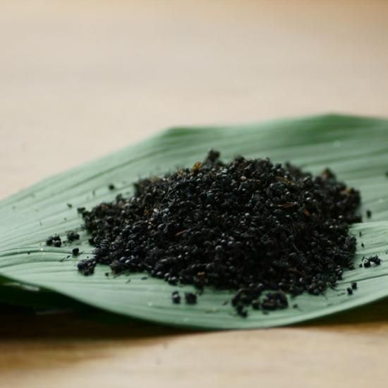 TAKEOの黒アリ | つぶつぶ食感とほどよい酸味 - 昆虫食のTAKEO｜通販