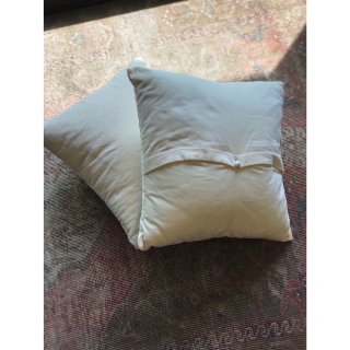  velveteen cushion