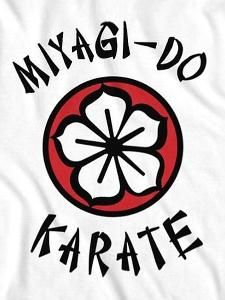 THE KARATE KID 