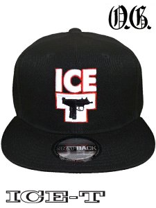 ICE-T 