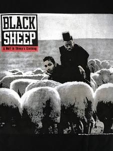 Black Sheep 