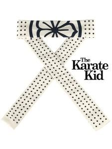 THE KARATE KID 