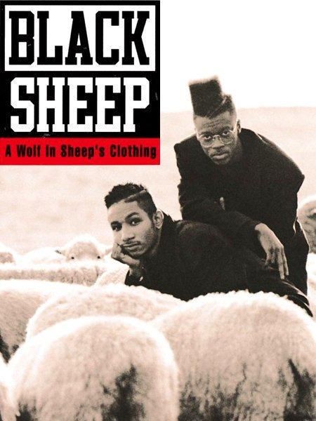 Black Sheep 