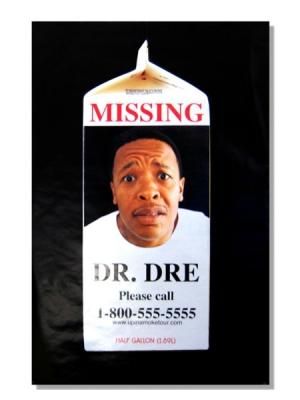 DR.DRE ポスター Dr.Dre ”Back'N The Day” 額入りポスター - アンティーク
