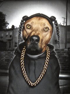 Snoop Dogg Dog T-Shirt