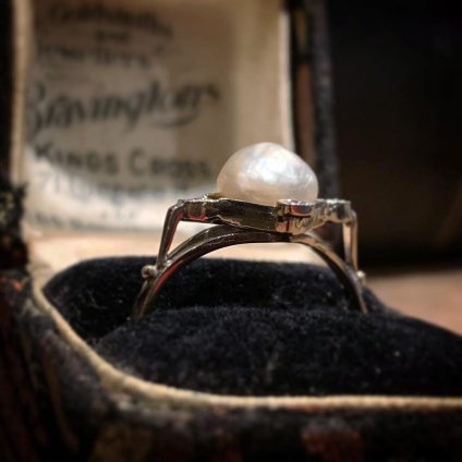 Belle Epoque Pearl Antique Ring (٥롦ݥå ѡ ƥ) 