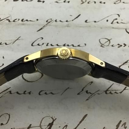 OMEGA GNEVE (ᥬ ͡) ʸ