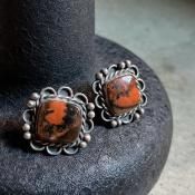 PetrifiedWood Silver Earringsʥڥȥեɥå С󥰡